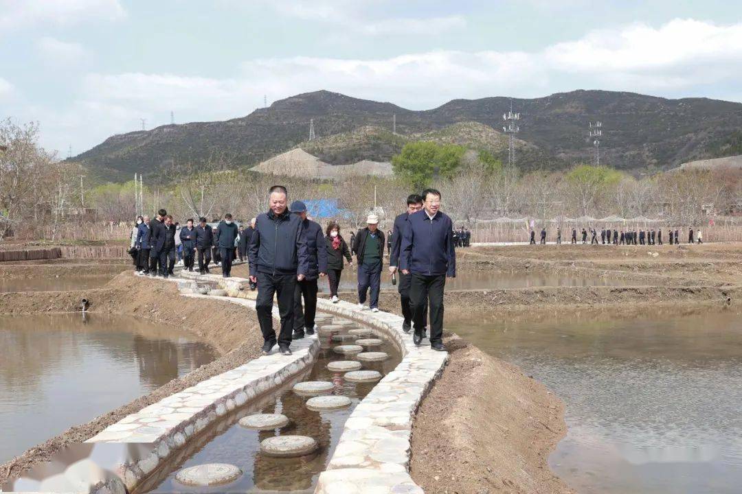 太原最高级五星雷火竞技网址级奢华酒店5月开业山西民企百强亚鑫集团惠东稻园开园(图4)